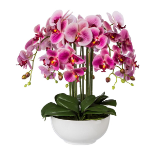 Orchidea fialová v kvetináči, 54cm