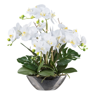 Orchidea biela v miske, 53cm