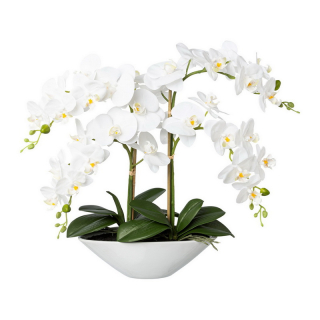 Orchidea bielá v miske, 53cm